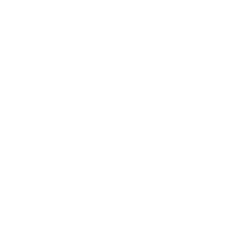 seo-cropped